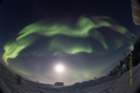 aurora14440_160813_12h26m_small.jpg